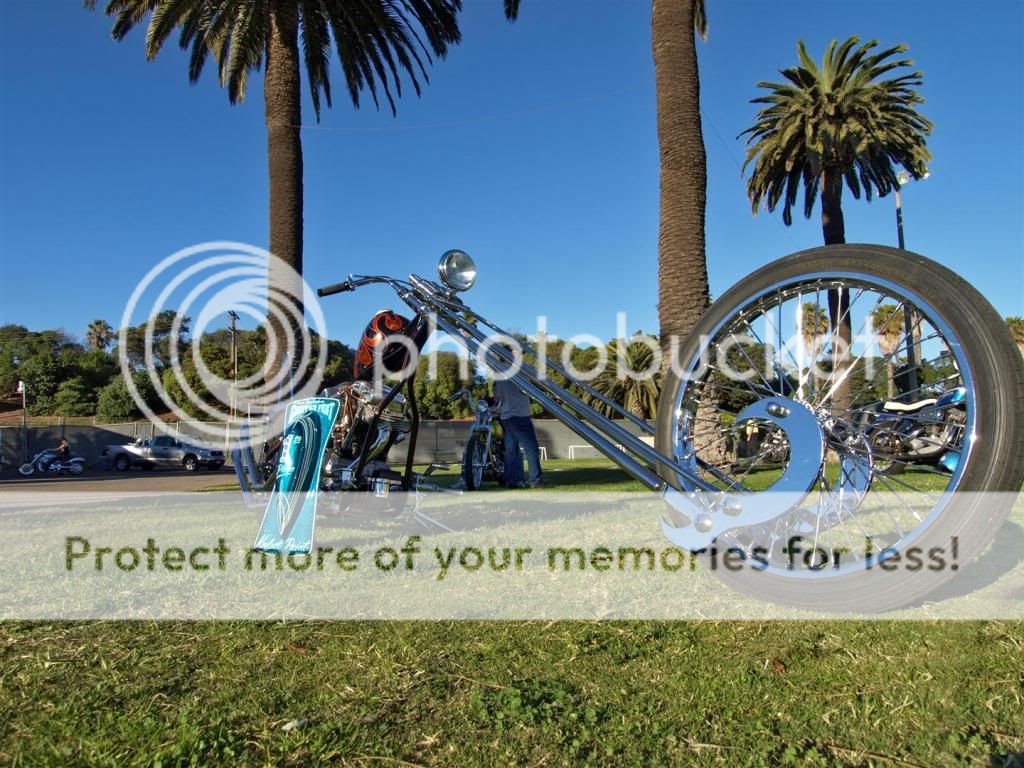 David Mann - Shovelhead Forum